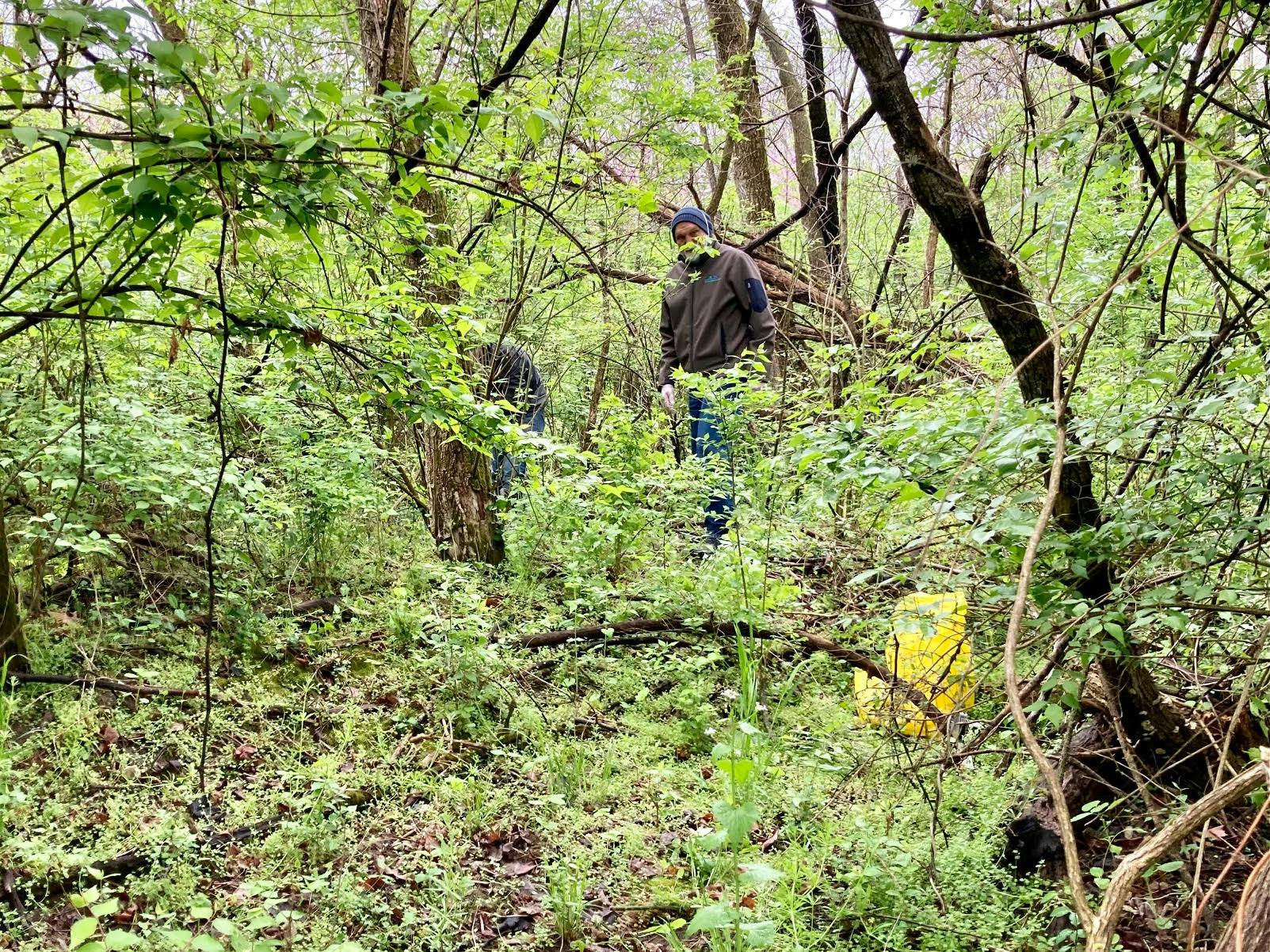 Image of a man collecting trash in the woods.